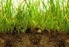 Peachestersub-soil-drainage-6.jpg; ?>